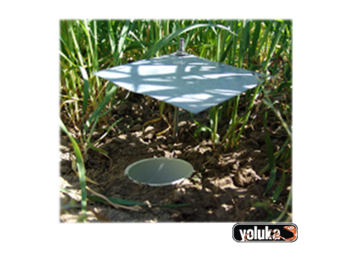 TRAMPA DE CAÍDA PITFALL